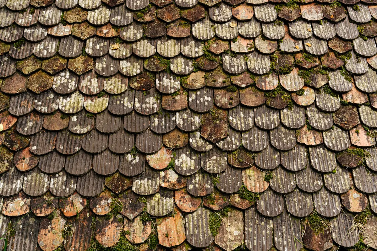 A Beginner's Guide to Slate Roofing Terms: From Batten and Verge to Course and Headlap